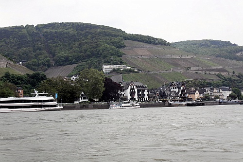 geis (115)